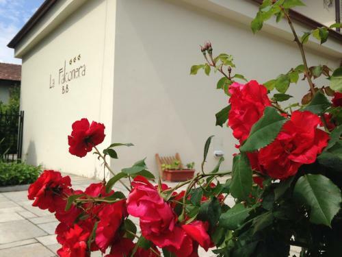 B&B La Falconera