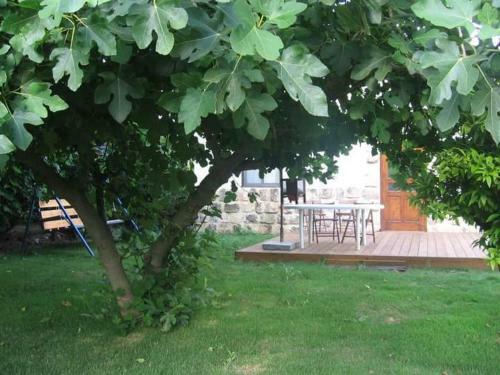 Lodge A Place To Dream