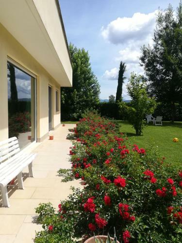 Apartamento B&B Terra Del Sole