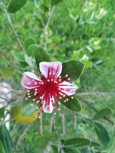 Apartamento B&B Terra Del Sole