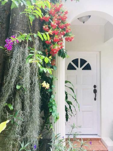 Hostal Ever Blooming Orchid Cottage