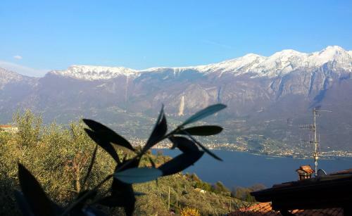 Apartamento Ulivi Sul Garda