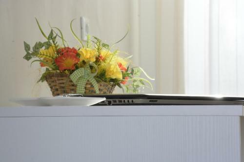 Bed & Breakfast Baia Dell'orso