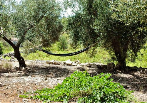 Holiday Home Casa Giuliveto