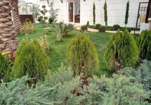 Apartamento Elite Risedency
