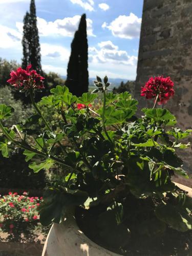 Agroturismo Villa Schiatti