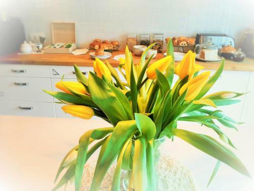 Hostal Sak� Vacation House