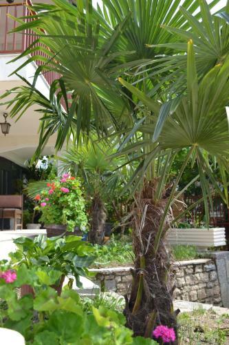 Hostal Villa Fania
