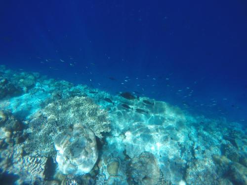 Hostal Ithaa Inn Kamadhoo