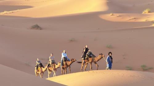Camp Camelhouse Merzouga