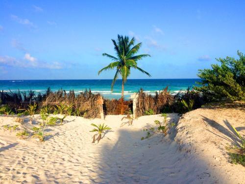 Paradise In Tulum - Villas La Veleta - V2