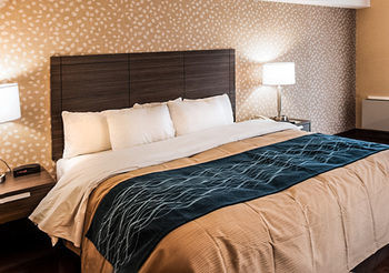 Hotel Comfort Inn