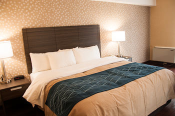 Hotel Comfort Inn