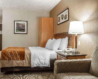 Hotel Comfort Inn (simcoe)