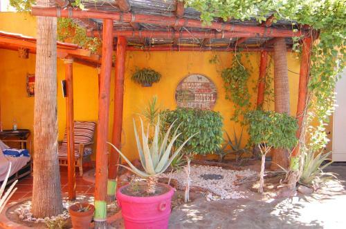 Hostal Leo's Baja Oasis