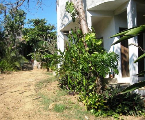 Hostal Los Metates