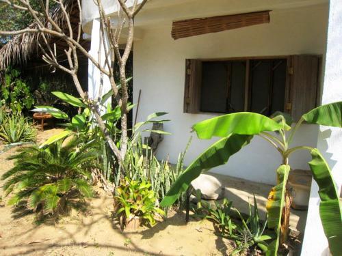 Hostal Los Metates