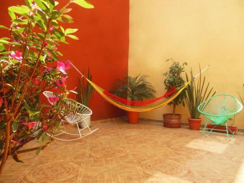 Hostal Centro Historico Oasis