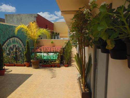 Hostal Centro Historico Oasis