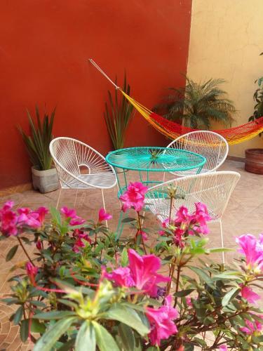 Hostal Centro Historico Oasis