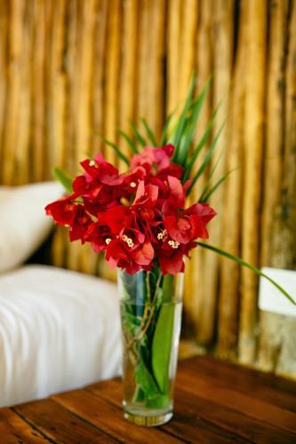 Hotel Villa Pescadores By Ahau Collection