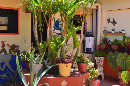 Hostal El Rinc�n De Los Camellos