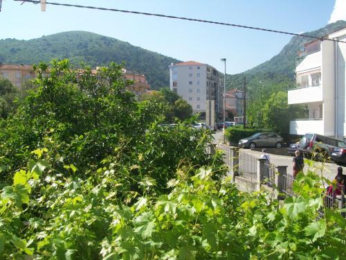 Hostal Apartments Lijesevic