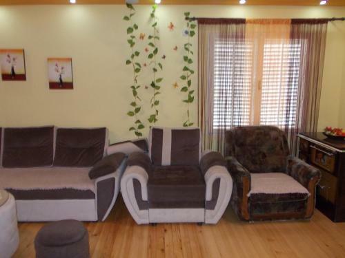 Apartment Jelaca