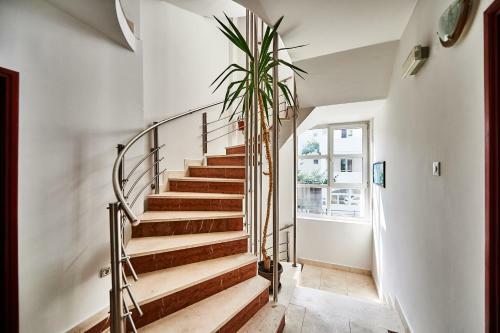 Apartments Mont