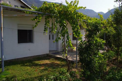 Apartamento House Balkanska