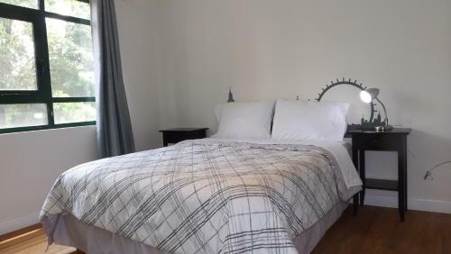 Deluxe & Great Locate Apartment Close To Reforma