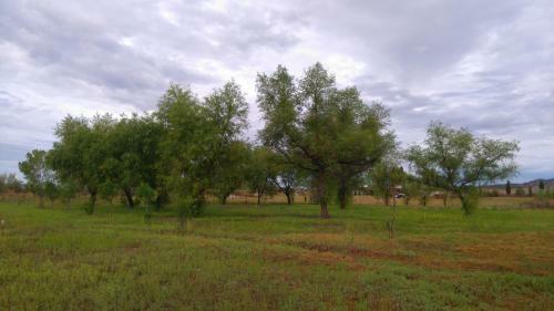 Agroturismo Rancho Payasito