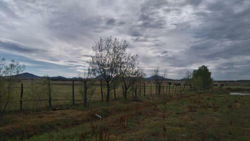 Agroturismo Rancho Payasito