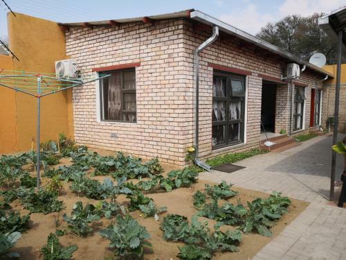 Hostal Yoye Guesthouse