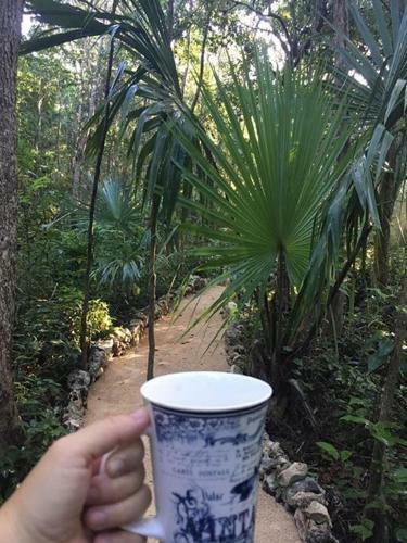 Bed & Breakfast Casa Tzalam Tulum Selva