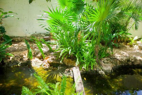 Bed & Breakfast La Casa De Los P�jaros