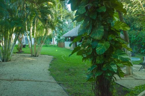 Hostal Casa La Selva