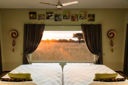 Lodge Okonjima Plains Camp