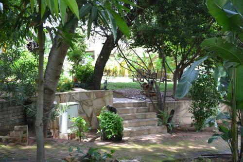 Tambuti Lodge