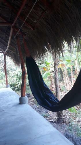 Agroturismo Bananas Guest House Private Room