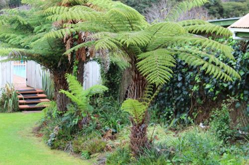Coromandel Colonial Cottages Motel