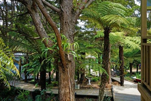 Albergue Wai-knot Accommodation