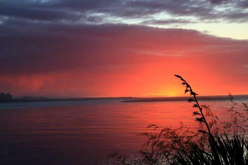 Bed & Breakfast Kotuku Cottage