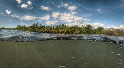 Hotel Oasis Surf Camp