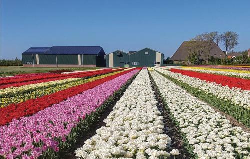 Agroturismo Big View