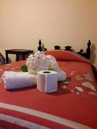 Bed & Breakfast The Secret Garden Home Cusco