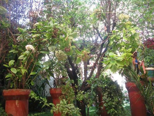 Bed & Breakfast The Secret Garden Home Cusco