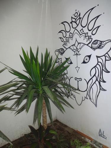 Albergue Cozy Wasi
