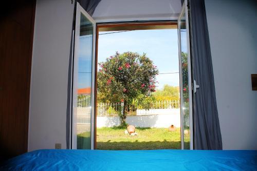 Hostal Aljezur Experiences Surf & Lounge House