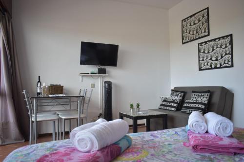 Barinel 207 Apartment